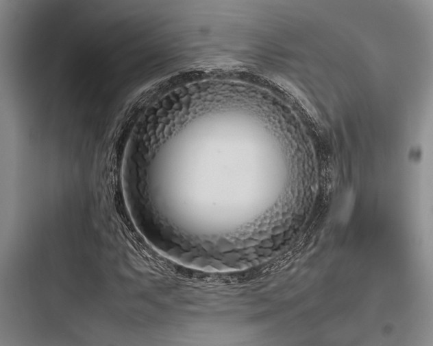 X0000097981063200803241254