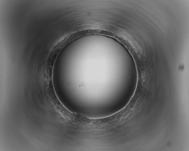 X0000097981064200803241254