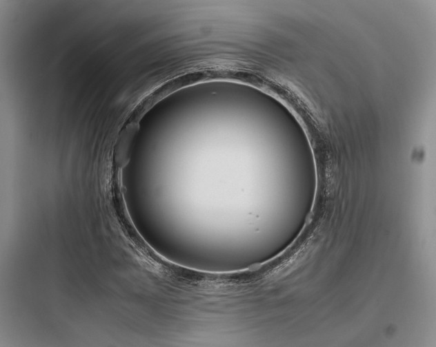 X0000097981065200803241254
