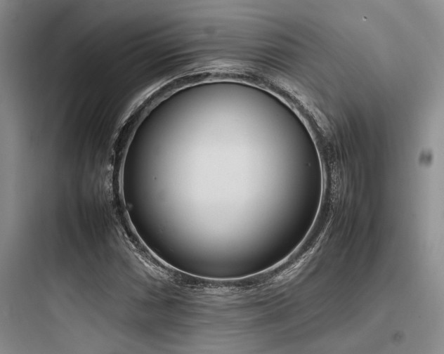 X0000097981066200803241253