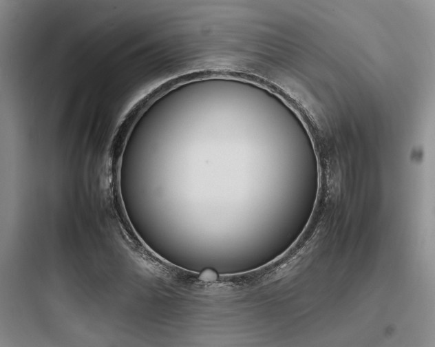 X0000097981070200803241253