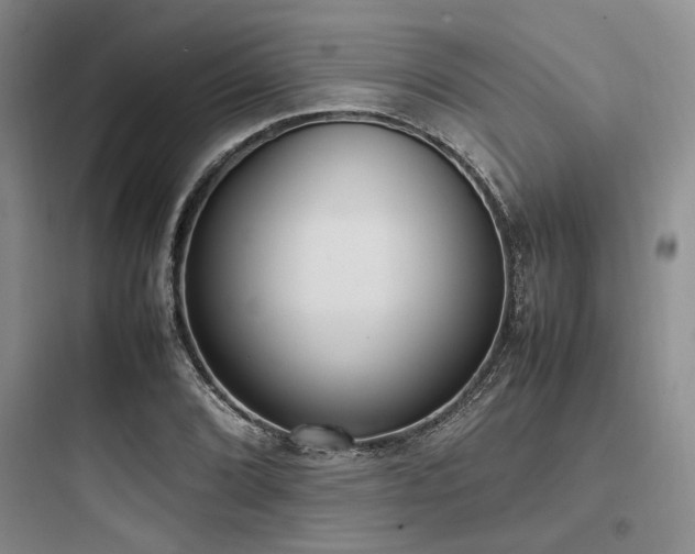 X0000097981072200803241253