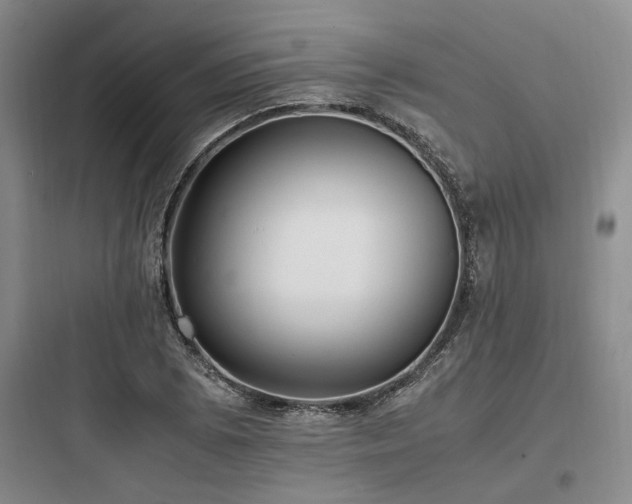X0000097981073200803241253