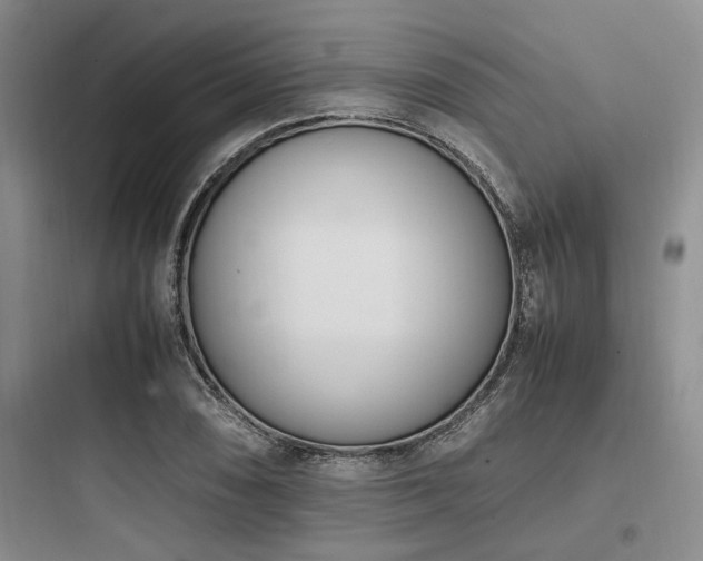 X0000097981074200803241253