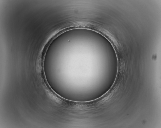 X0000097981075200803241253