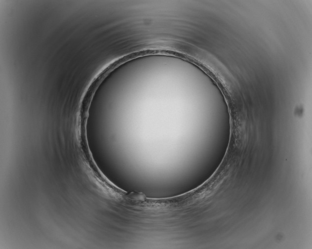 X0000097981076200803241253