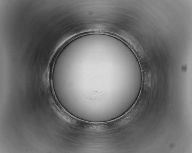 X0000097981078200803241253