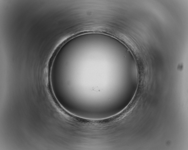 X0000097981079200803241253