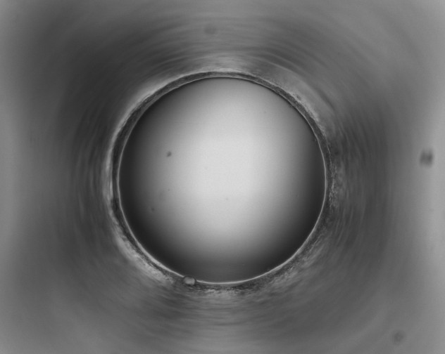 X0000097981080200803241253
