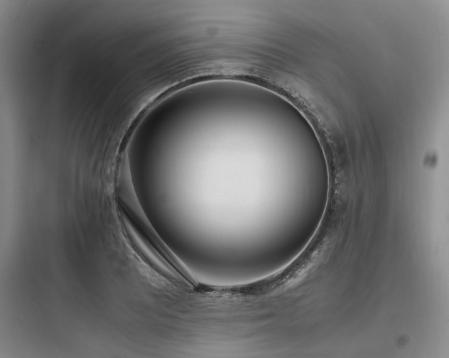 X0000097981081200803241253