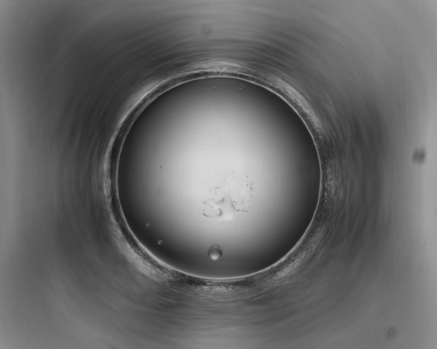 X0000097981082200803241253