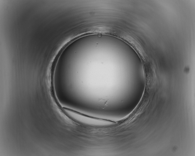 X0000097981083200803241253