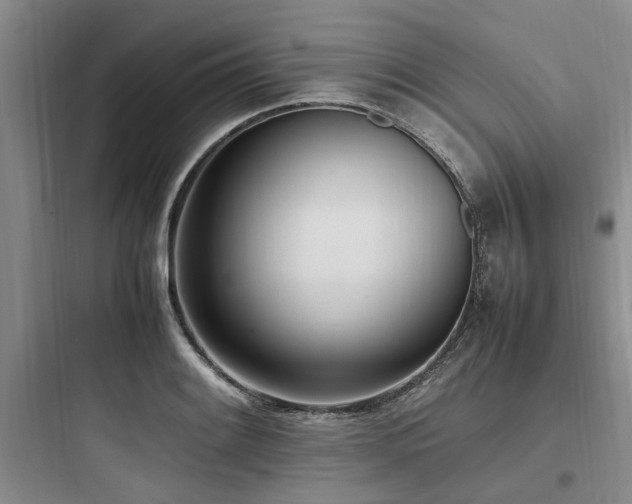 X0000097981084200803241253
