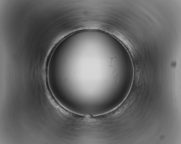 X0000097981088200803241253