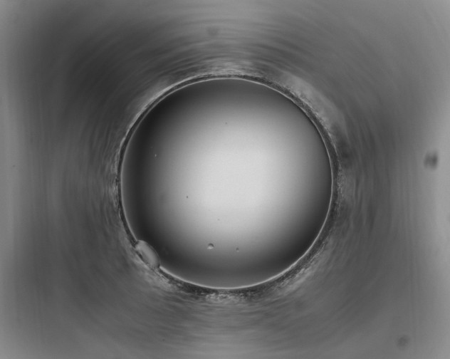 X0000097981089200803241253