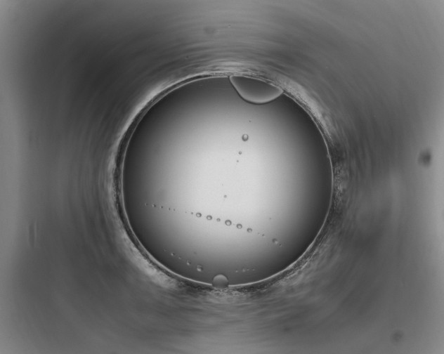X0000097981091200803241253