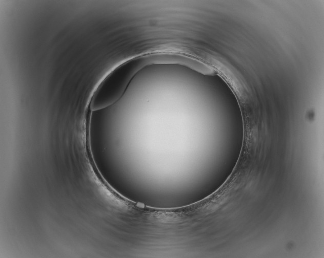 X0000097981092200803241253