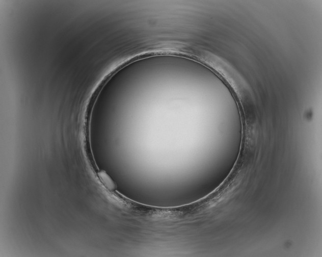 X0000097981093200803241253