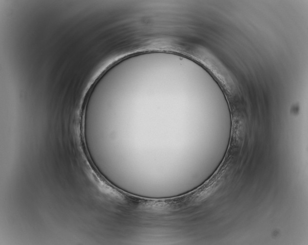 X0000097981094200803241253