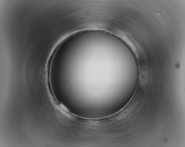 X0000097981096200803241253