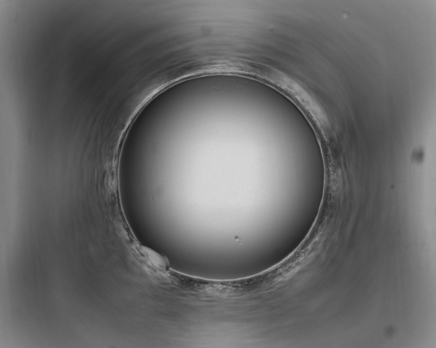 X0000097981097200803241253