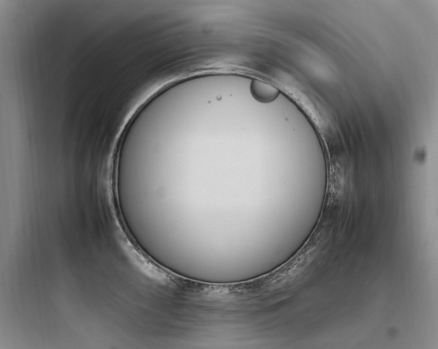 X0000097981098200803241253