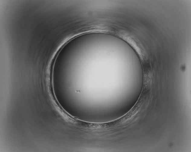 X0000097981099200803241253