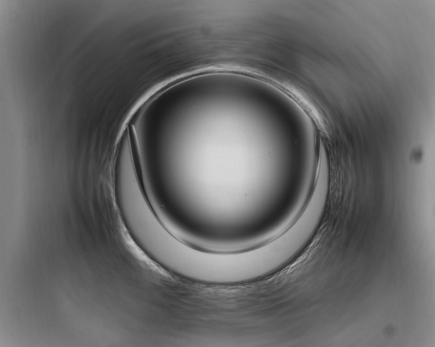 X0000097981100200803241253