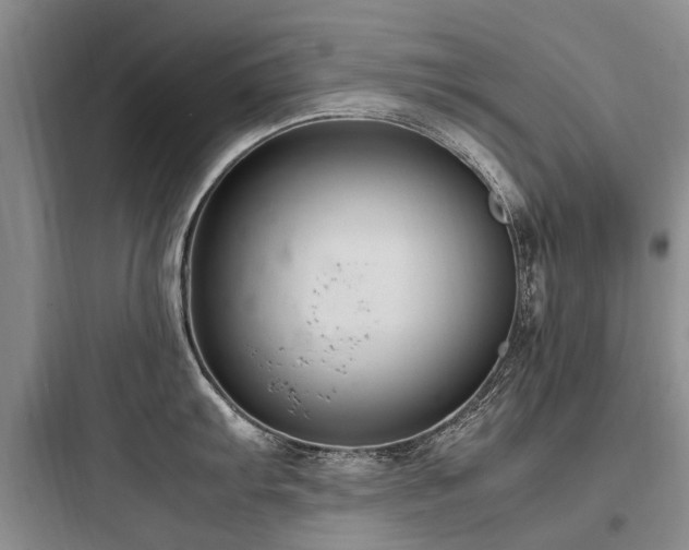 X0000097981103200803241253