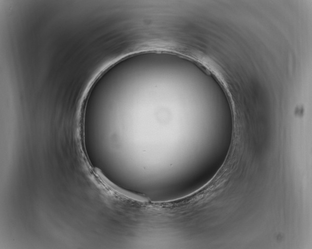 X0000097981104200803241253