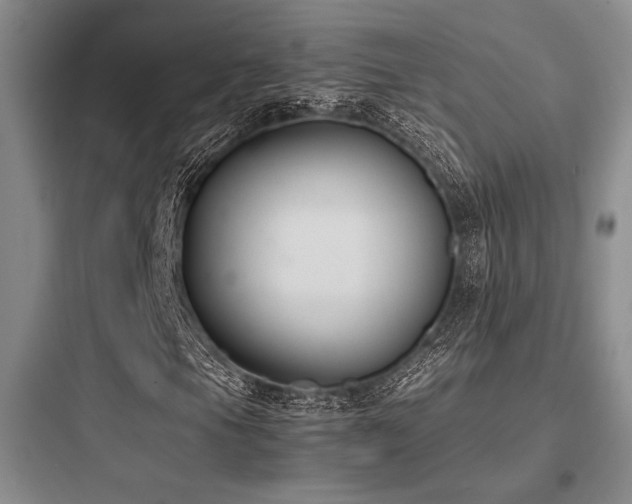 X0000097981105200803241252