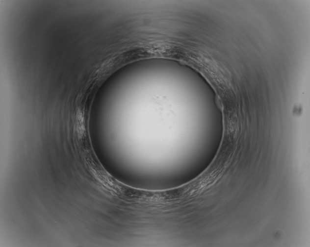 X0000097981106200803241252