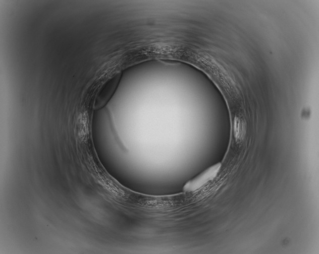 X0000097981107200803241252