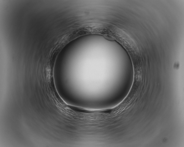 X0000097981108200803241252
