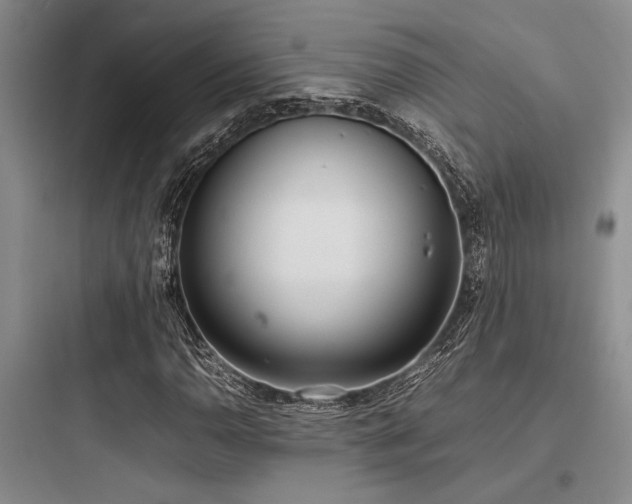 X0000097981110200803241252