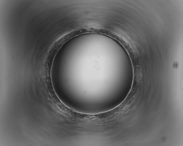 X0000097981112200803241252