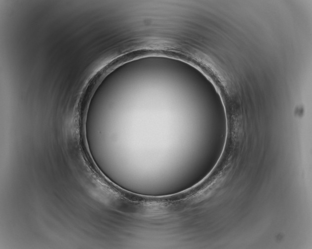 X0000097981114200803241252