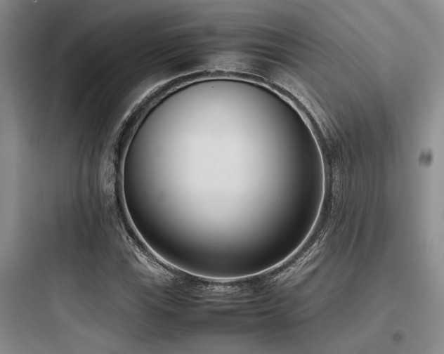 X0000097981115200803241252