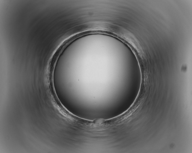 X0000097981116200803241252
