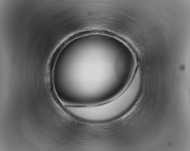 X0000097981118200803241252