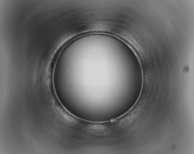 X0000097981119200803241253