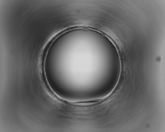 X0000097981120200803241253