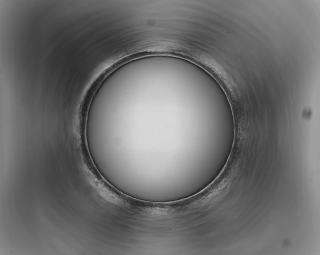 X0000097981122200803241253