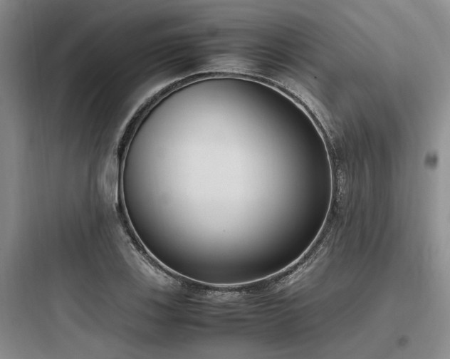 X0000097981123200803241253