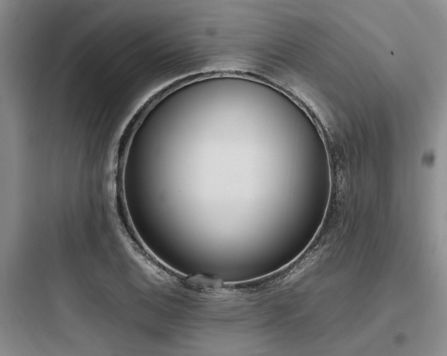 X0000097981124200803241253