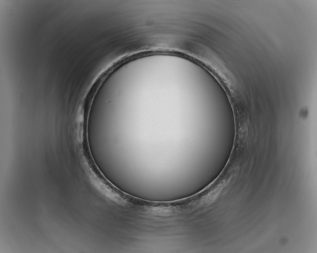 X0000097981126200803241253
