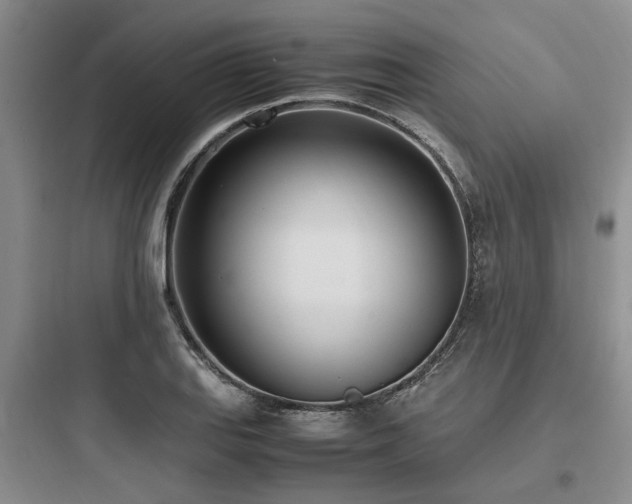 X0000097981127200803241253