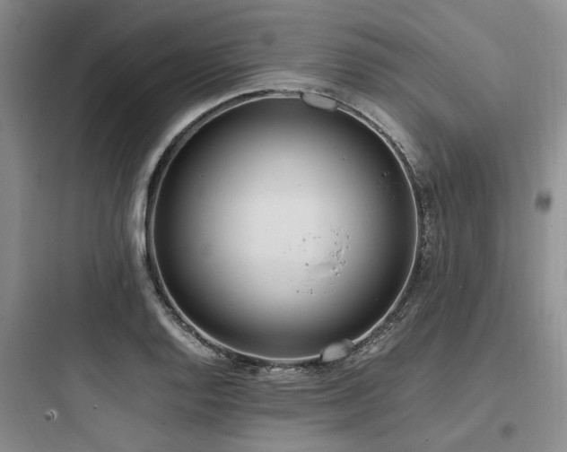 X0000097981128200803241253