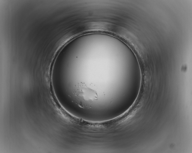 X0000097981129200803241253