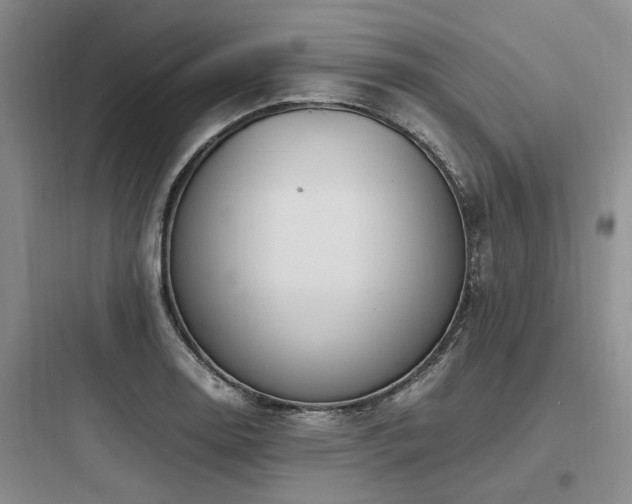 X0000097981130200803241253